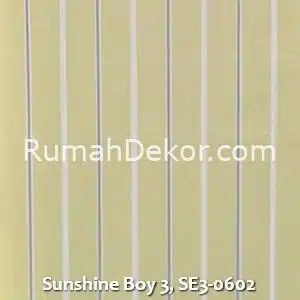 Sunshine Boy 3, SE3-0602