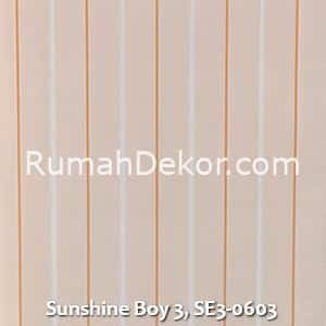 Sunshine Boy 3, SE3-0603