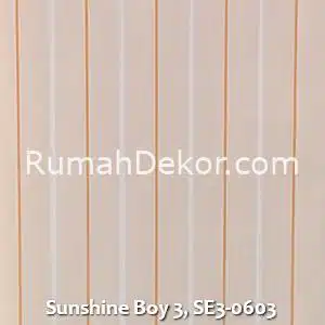 Sunshine Boy 3, SE3-0603