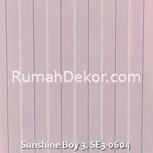 Sunshine Boy 3, SE3-0604