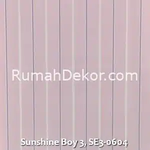 Sunshine Boy 3, SE3-0604