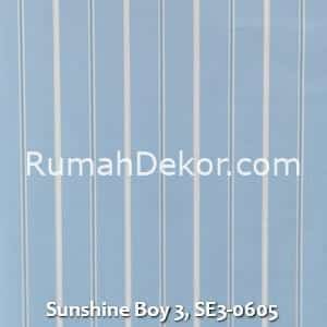 Sunshine Boy 3, SE3-0605