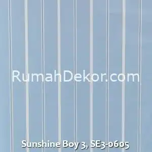 Sunshine Boy 3, SE3-0605