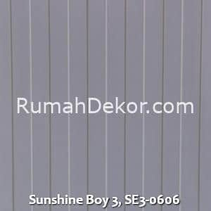 Sunshine Boy 3, SE3-0606