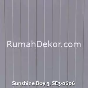 Sunshine Boy 3, SE3-0606