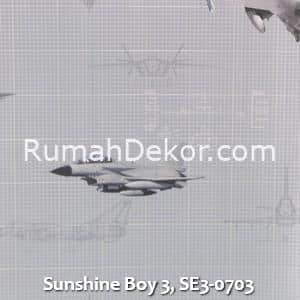Sunshine Boy 3, SE3-0703