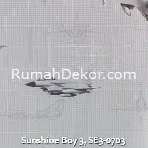 Sunshine Boy 3, SE3-0703