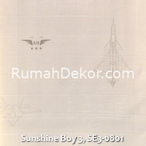 Sunshine Boy 3, SE3-0801