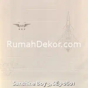 Sunshine Boy 3, SE3-0801