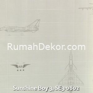 Sunshine Boy 3, SE3-0802