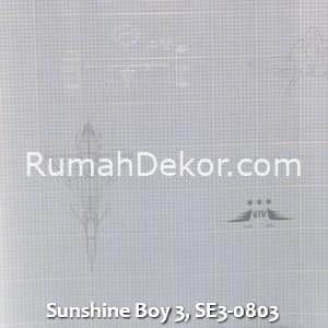 Sunshine Boy 3, SE3-0803