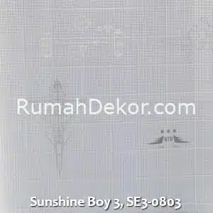 Sunshine Boy 3, SE3-0803