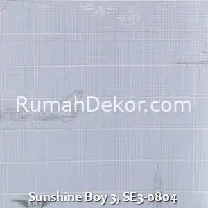 Sunshine Boy 3, SE3-0804