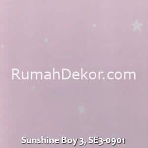 Sunshine Boy 3, SE3-0901