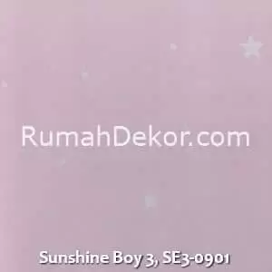 Sunshine Boy 3, SE3-0901