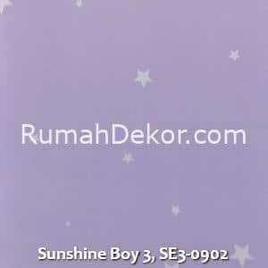 Sunshine Boy 3, SE3-0902