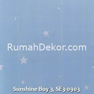 Sunshine Boy 3, SE3-0903