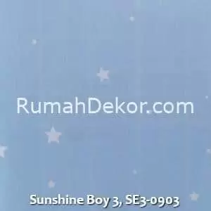 Sunshine Boy 3, SE3-0903