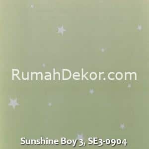 Sunshine Boy 3, SE3-0904