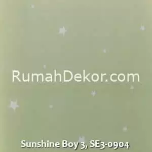 Sunshine Boy 3, SE3-0904