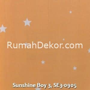 Sunshine Boy 3, SE3-0905