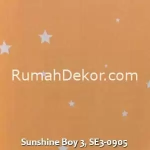 Sunshine Boy 3, SE3-0905