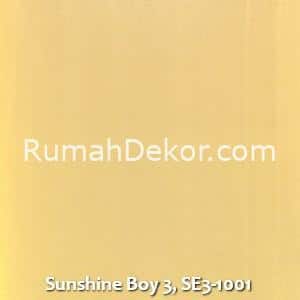 Sunshine Boy 3, SE3-1001