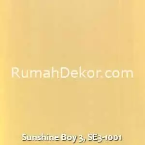 Sunshine Boy 3, SE3-1001