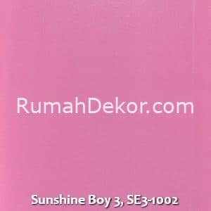 Sunshine Boy 3, SE3-1002