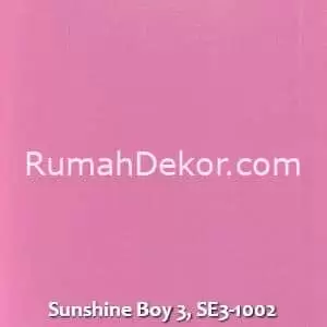 Sunshine Boy 3, SE3-1002