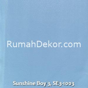 Sunshine Boy 3, SE3-1003
