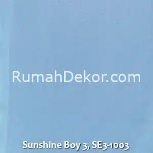 Sunshine Boy 3, SE3-1003