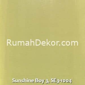 Sunshine Boy 3, SE3-1004
