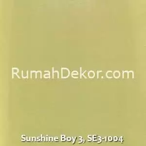 Sunshine Boy 3, SE3-1004