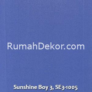 Sunshine Boy 3, SE3-1005