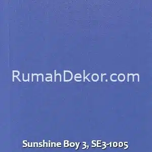 Sunshine Boy 3, SE3-1005