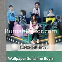 Wallpaper Sunshine Boy 2