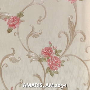 AMARIS, AM 205-1