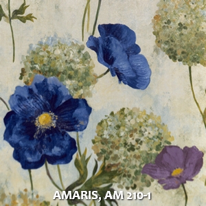 AMARIS, AM 210-1