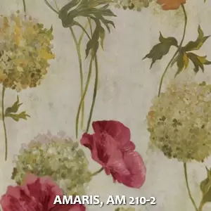 AMARIS, AM 210-2