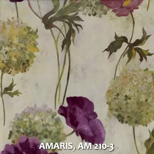 AMARIS, AM 210-3