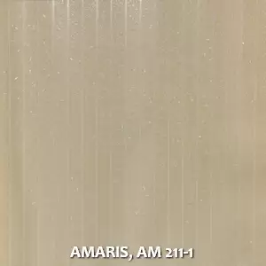 AMARIS, AM 211-1