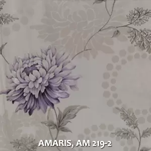 AMARIS, AM 219-2