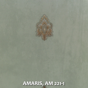 AMARIS, AM 221-1