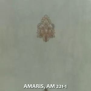 AMARIS, AM 221-1