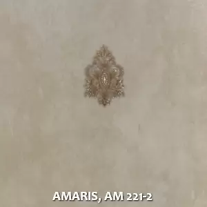 AMARIS, AM 221-2