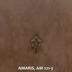 AMARIS, AM 221-3