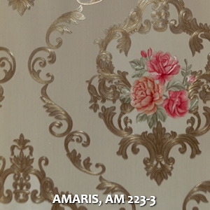 AMARIS, AM 223-3