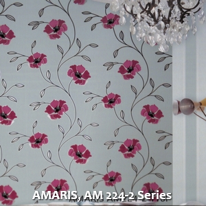 AMARIS, AM 224-2 Series