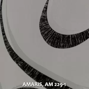 AMARIS, AM 229-1